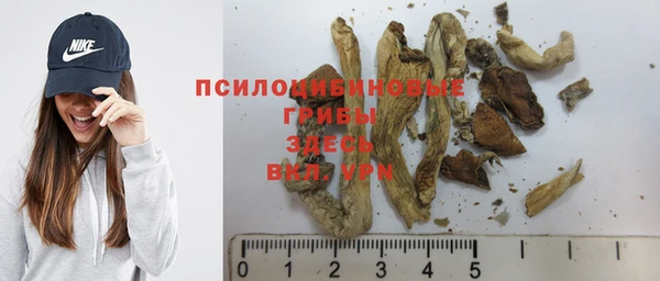 шишки Алексин