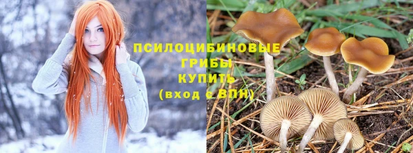 кокаин колумбия Алзамай