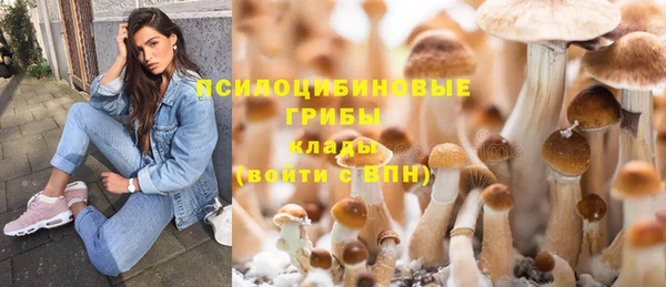 шишки Алексин