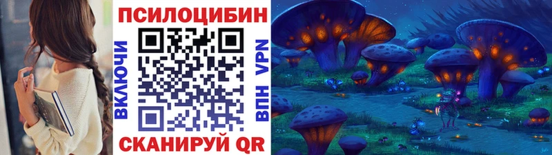 Псилоцибиновые грибы прущие грибы  Бахчисарай 